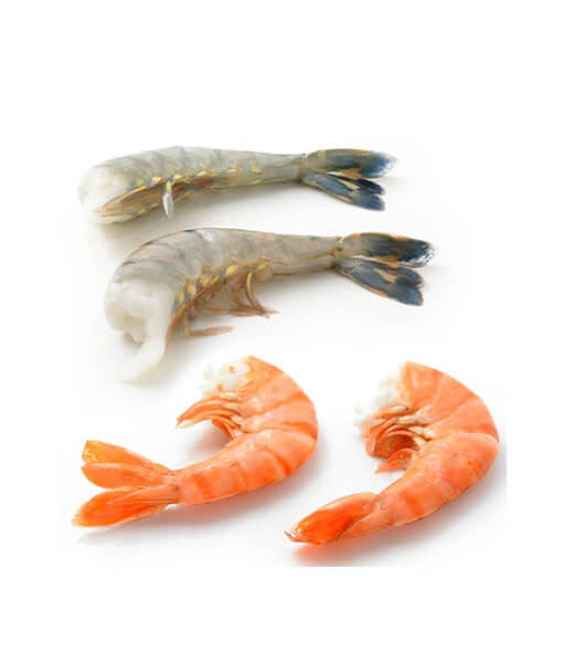 無頭海老